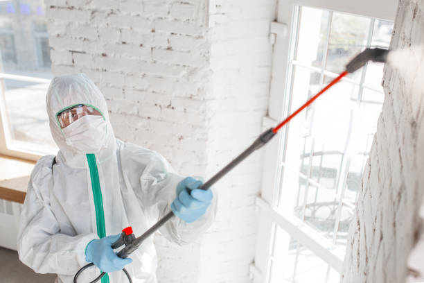 Mold Remediation for Vacation Homes in Orrville, OH